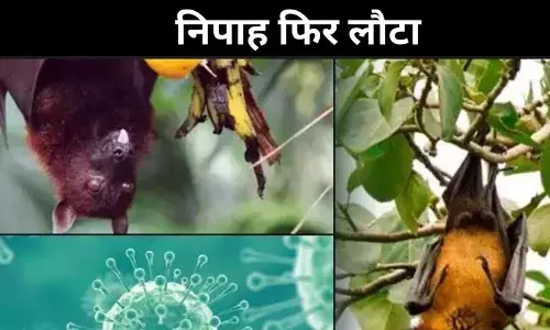 संक्रमण का स्रोत अज्ञात लेकिन खतरा बढ़ा, केरल में निपाह फिर एक्टिव