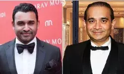 nehal modi and nirav modi