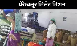 गांव की महिलाएं बनीं बदलाव की मिसाल, फिर जिंदा हुआ बाजरा