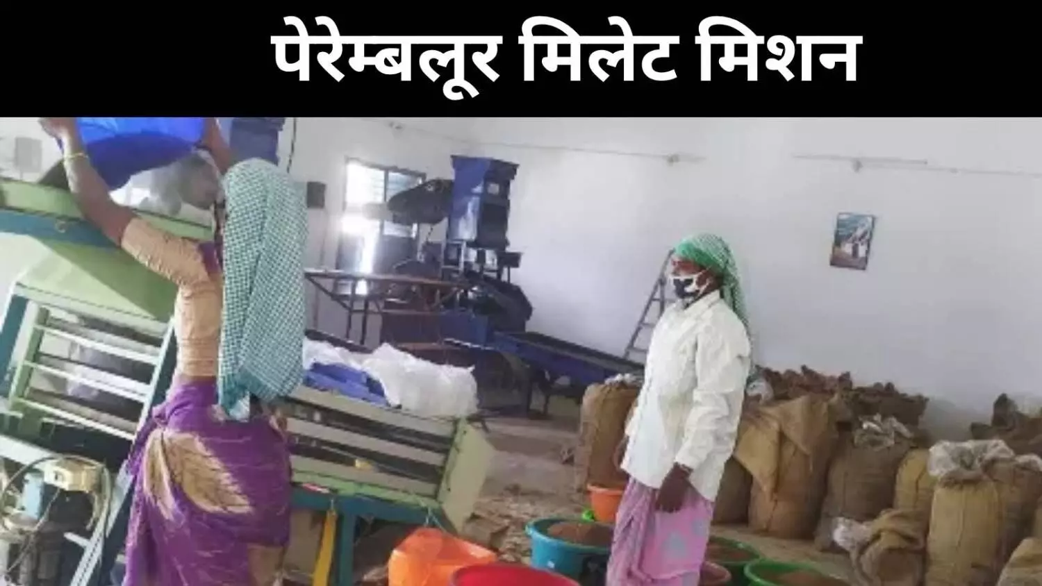 गांव की महिलाएं बनीं बदलाव की मिसाल, फिर जिंदा हुआ बाजरा गांव की महिलाएं बनीं बदलाव की मिसाल, फिर जिंदा हुआ बाजरा