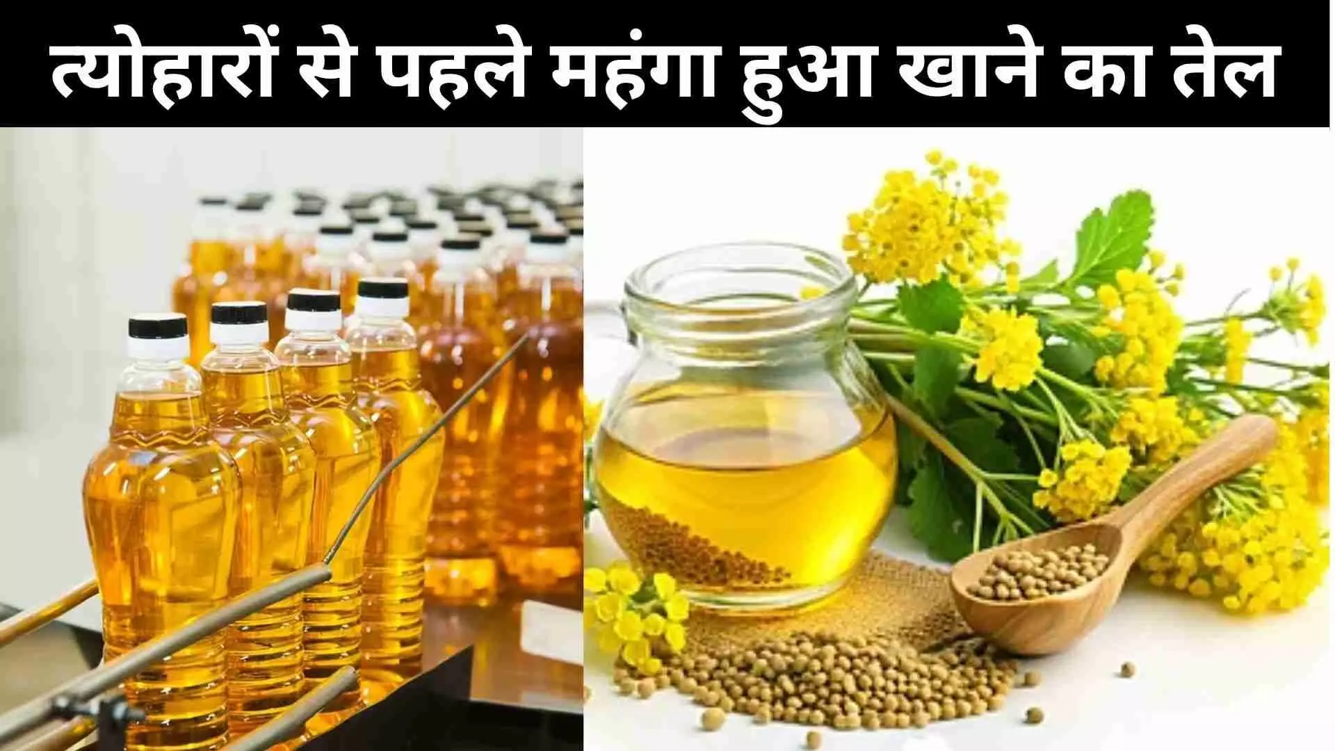 Edible Oil Price Edible Oil Price