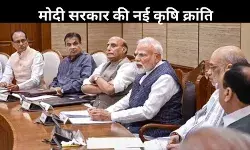 कैबिनेट के तीन बड़े फैसले: खेती, ऊर्जा और निवेश को मिलेगी नई दिशा