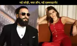 Don 3 में कृति सैनन की एंट्री! कियारा आडवाणी बनीं मां, विलेन की तलाश जारी