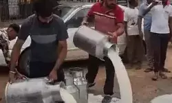 गुजरात में दूध की बगावत: किसानों ने सड़क पर फेंका हजारों लीटर दूध, सप्लाई ठप