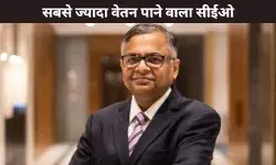 सबसे ज्यादा वेतन पाने वाला सीईओ