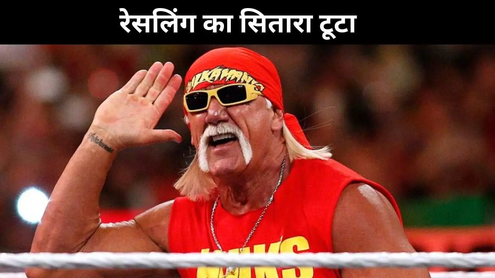 WWE के सुपरस्टार हल्क होगन का 71 साल की उम्र में निधन, कार्डियक अरेस्ट की आशंका