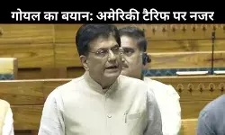 भारत सरकार कर रही अमेरिकी टैरिफ नीति की समीक्षा, सभी विकल्पों पर विचार जारी: गोयल