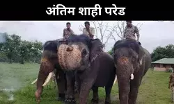 मैसूर दशहरे का महारथी अभिमन्यु, विदाई की अंतिम गूंज