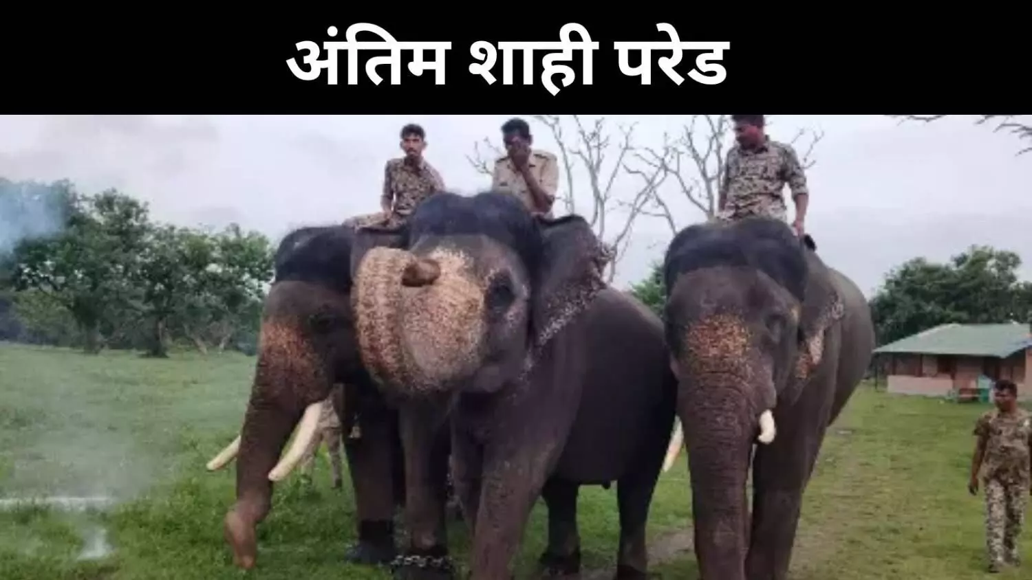 मैसूर दशहरे का महारथी अभिमन्यु, विदाई की अंतिम गूंज मैसूर दशहरे का महारथी अभिमन्यु, विदाई की अंतिम गूंज