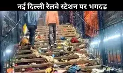 NDLS भगदड़: सिर से गिरा सामान बना हादसे की वजह, संसद में रेल मंत्री का खुलासा