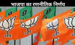 बीजेपी ने टाली नए अध्यक्ष की घोषणा, उपराष्ट्रपति चुनाव के बाद होगा फैसला