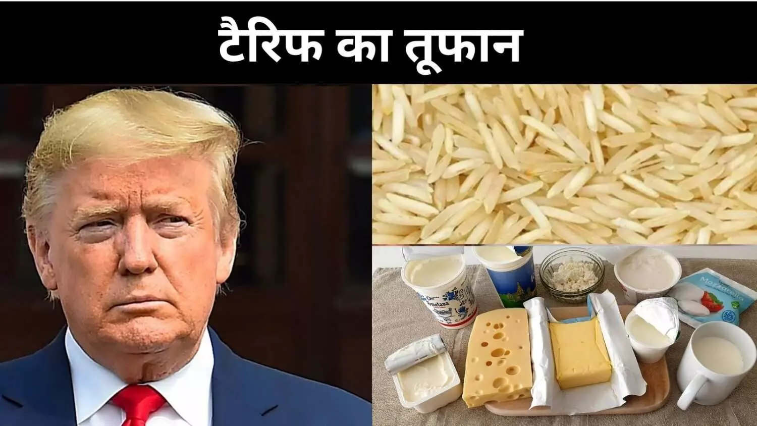 टैरिफ वॉर की आग में झुलसता खेतिहर भारत, नीति या नरमी सरकार क्या चुनेगी? टैरिफ वॉर की आग में झुलसता खेतिहर भारत, नीति या नरमी सरकार क्या चुनेगी?