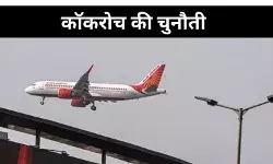 कॉकरोच विवाद पर एयर इंडिया की सफाई, यात्रियों से मांगी माफ़ी