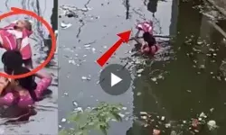 नवजात बच्चे को दोनों हाथों में ऊपर उठाकर पत्नी के साथ बाढ़ में उतरा पिता, प्रयागराज का झकझोरने वाला वीडियो