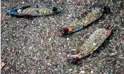 हर साल 125 लाख करोड़ रुपये से ज्यादा डकार जा रहा है प्लास्टिक, नई रिपोर्ट में चौंकाने वाला खुलासा