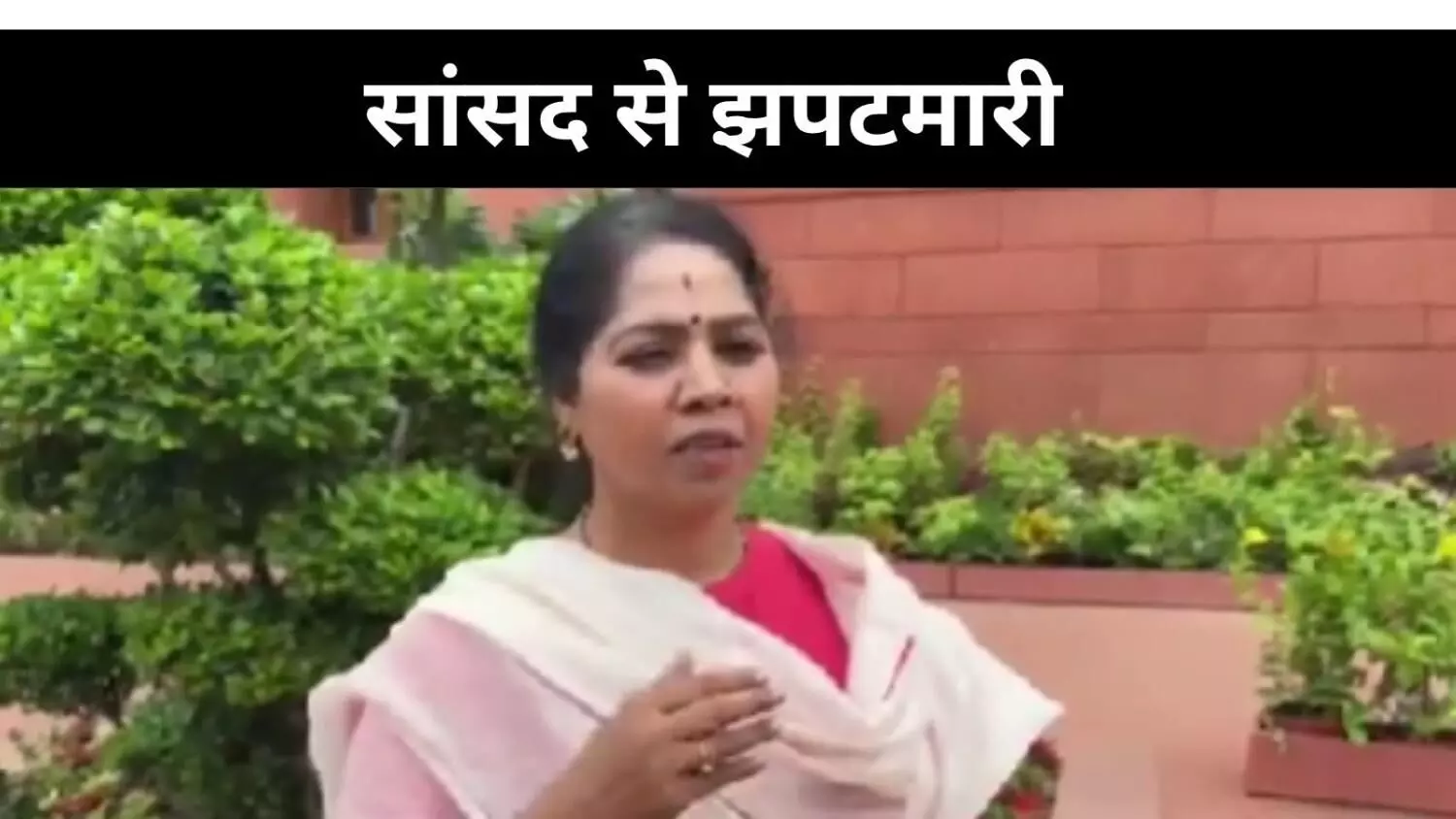 झपटमारी की शिकार महिला सांसद बोलीं, हम ही असुरक्षित तो आम लोगों का क्या? झपटमारी की शिकार महिला सांसद बोलीं, हम ही असुरक्षित तो आम लोगों का क्या?