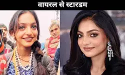 वायरल से स्टारडम