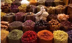 आखिर केरल को क्यों झेलनी पड़ेगी डोनाल्ड ट्रंप के लगाए 50% टैरिफ की मार?