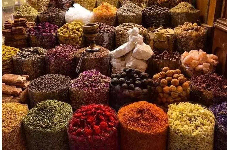 आखिर केरल को क्यों झेलनी पड़ेगी डोनाल्ड ट्रंप के लगाए 50% टैरिफ की मार? आखिर केरल को क्यों झेलनी पड़ेगी डोनाल्ड ट्रंप के लगाए 50% टैरिफ की मार?