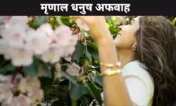 मृणाल धनुष अफवाह