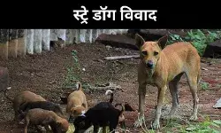 आवारा कुत्तों से संबंधित आदेश पर विरोध, PETA को क्यों है ऐतराज?