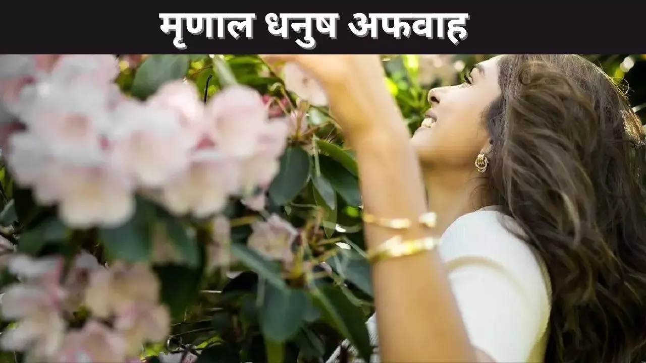 मृणाल धनुष अफवाह