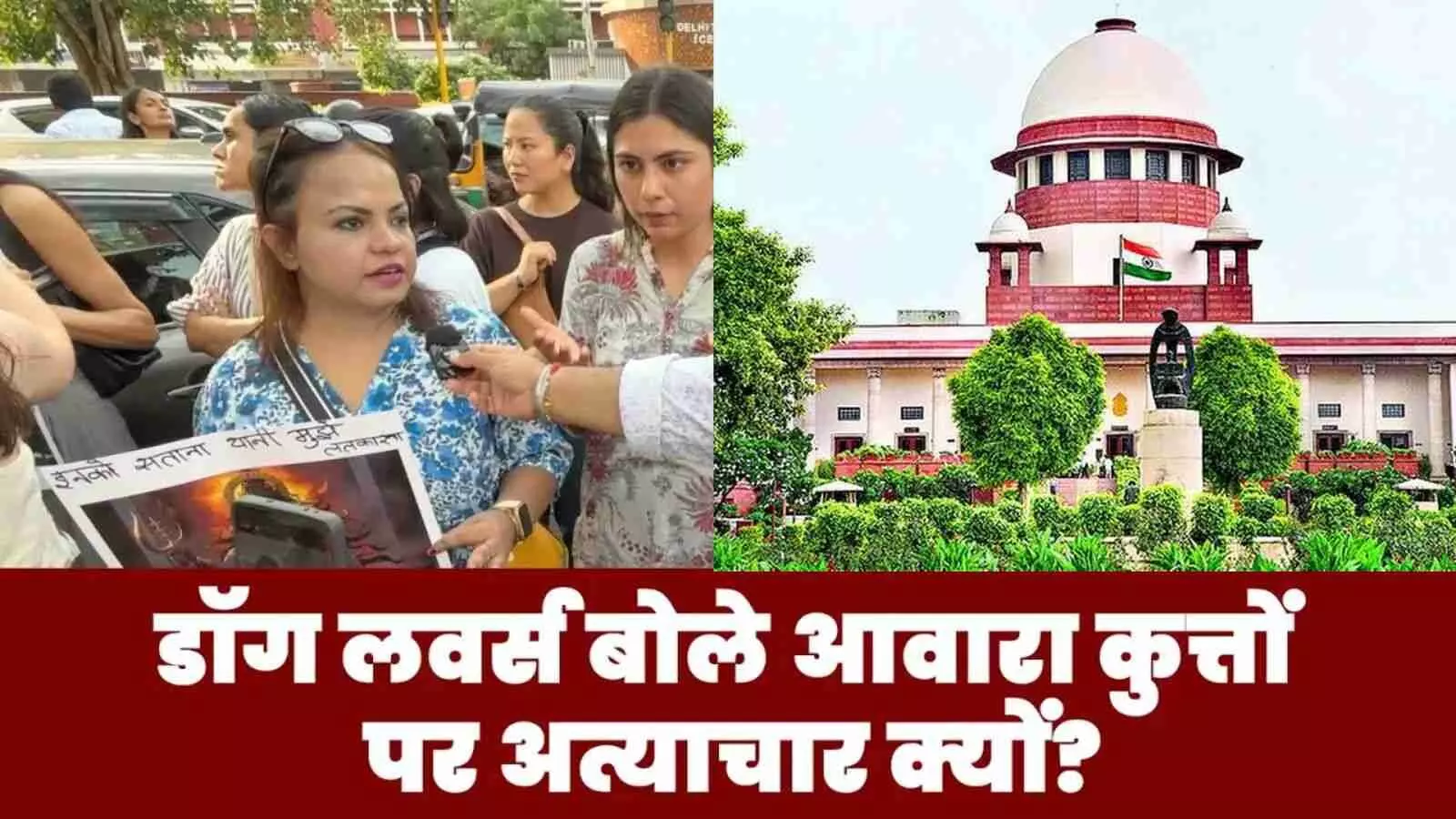 बेजुबानों को कैद क्यों? – दिल्ली में सुप्रीम कोर्ट के आदेश के विरोध में उतरे डॉग लवर्स