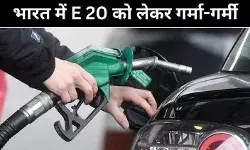 20% इथेनॉल मिश्रण से कार माइलेज पर असर? जानें हकीकत