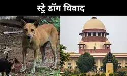 आवारा कुत्तों के अधिकारों पर फिर खुली अदालत में बहस, CJI बोले- मामला देखेंगे