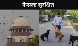 स्ट्रीट डॉग पर बड़ा फैसला सुरक्षित, विरोध-समर्थन में SC में दलील पेश