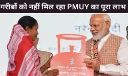 पीएम उज्जवला योजना का नहीं मिल रहा गरीबों को लाभ, संसदीय समिति ने की LPG सिलेंडर पर सब्सिडी बढ़ाने की सिफारिश