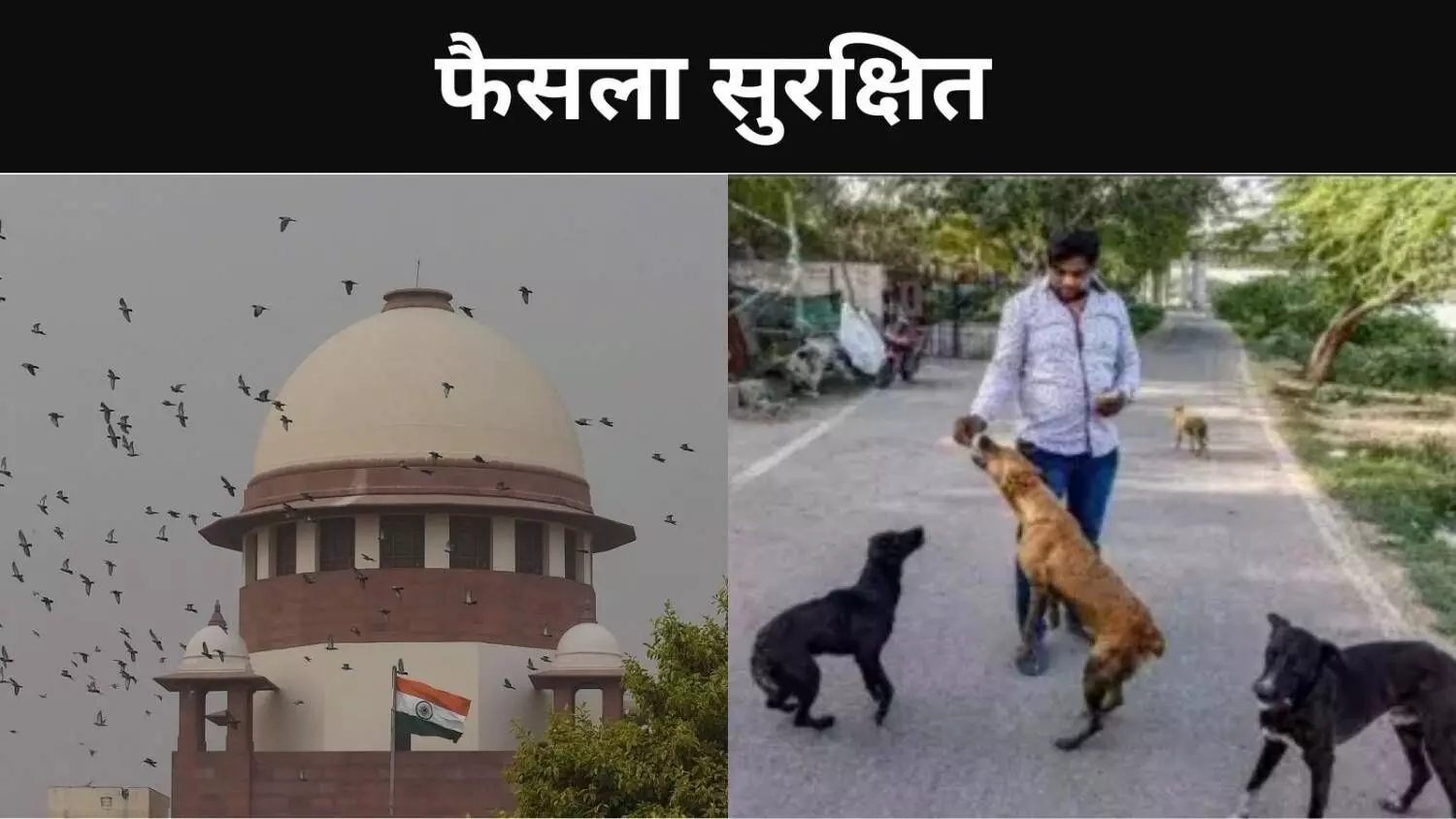 स्ट्रीट डॉग पर बड़ा फैसला सुरक्षित, विरोध-समर्थन में SC में दलील पेश स्ट्रीट डॉग पर बड़ा फैसला सुरक्षित, विरोध-समर्थन में SC में दलील पेश