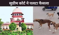 अवारा कुत्तों को लेकर सुप्रीम कोर्ट ने बदला पुराना फैसला, कोर्ट का आदेश, हर जगह नहीं दिया जाए भोजन