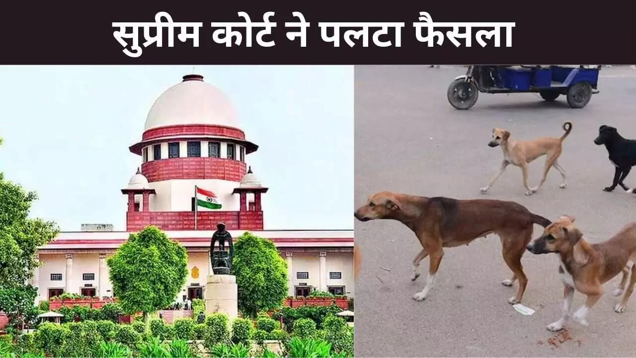 अवारा कुत्तों को लेकर सुप्रीम कोर्ट ने बदला पुराना फैसला, कोर्ट का आदेश, हर जगह नहीं दिया जाए भोजन अवारा कुत्तों को लेकर सुप्रीम कोर्ट ने बदला पुराना फैसला, कोर्ट का आदेश, हर जगह नहीं दिया जाए भोजन
