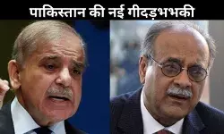 भारत पर परमाणु हमला करेगा पाकिस्तान? शहबाज शरीफ के करीबी ने गिनाए तीन कारण