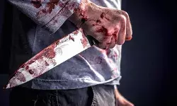 तेलंगाना में पति ने पत्नी की हत्या कर शव के टुकड़े किये, धड़ घर से बरामद