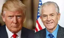 पीटर नवारो कौन हैं? वे भारत और बाकी दुनिया से नाराज़ क्यों हैं?