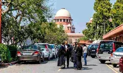 हाथियों की कथित कैद पर सुप्रीम कोर्ट का संज्ञान, वंतारा के खिलाफ SIT जांच