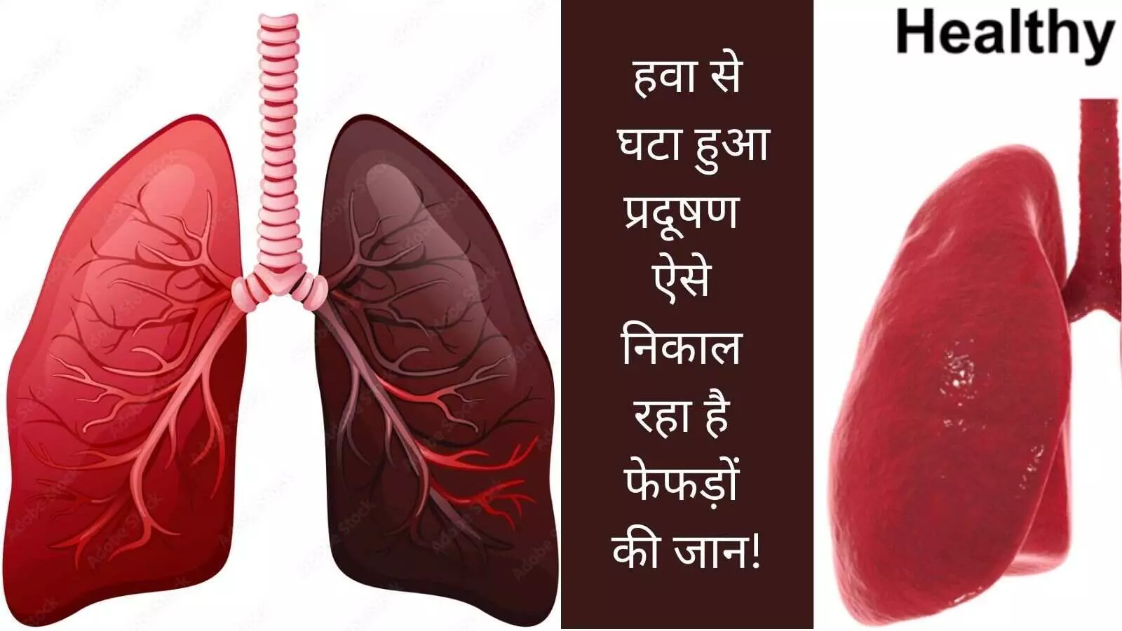 air quality in monsoon reduced pollution in rain toxins in fruits and vegetables health risks of rain impact on lungs air quality in monsoon reduced pollution in rain toxins in fruits and vegetables health risks of rain impact on lungs