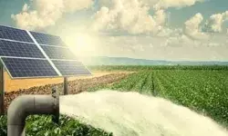 यूपी में ग्रामीण इलाक़ों को रोशन करेगी ‘सूर्य सखी’, एक लाख महिलाओं को चरणबद्ध तरीके से मिलेगा रोज़गार