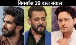 बिगबॉस19 दाल बवाल