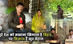 पोखर में डूबती उम्मीदें, मखाना खेती में मेहनत ज्यादा, आमदनी कम