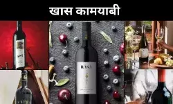 सुला से फ्रातेली तक, कैबर्नेट ने बदली भारत की वाइन पहचान