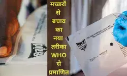 Dengue Malaria Mosquito-borne diseases World Health Organization Spatial Repellents