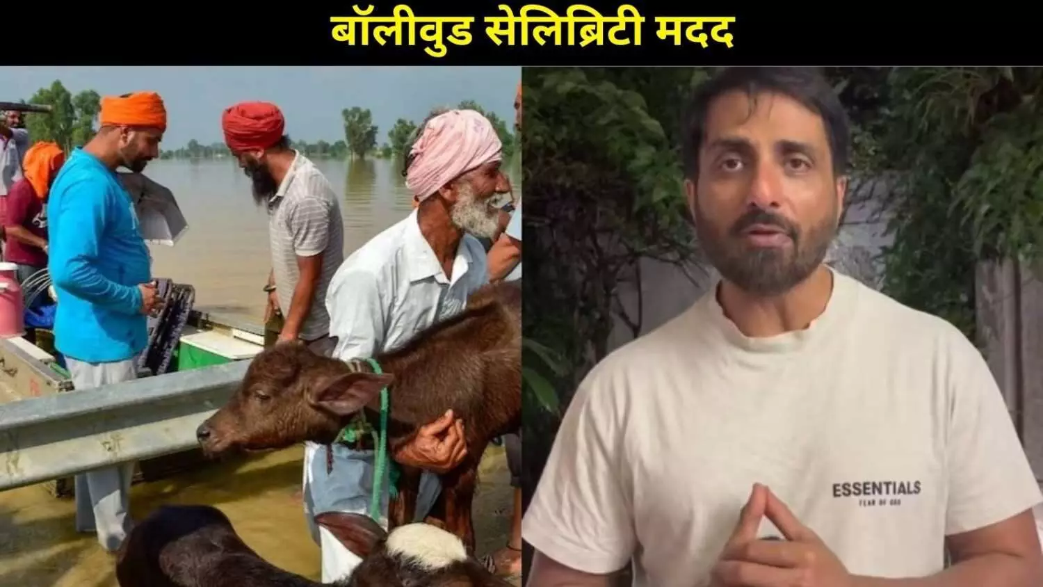 पंजाब बाढ़ पीड़ित परिवारों की मदद के लिए आगे आए बॉलीवुड और पंजाबी सितारे पंजाब बाढ़ पीड़ित परिवारों की मदद के लिए आगे आए बॉलीवुड और पंजाबी सितारे