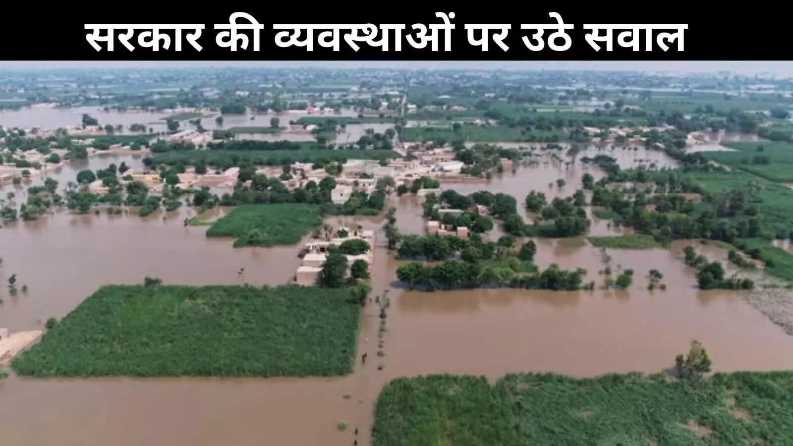 लाखों की लागत गई पानी में, पंजाब के किसान बोले सरकारी राहत नदारद लाखों की लागत गई पानी में, पंजाब के किसान बोले सरकारी राहत नदारद