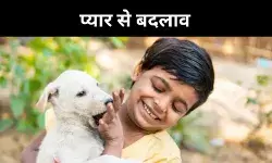 पश्चिम बंगाल मॉडल, दया और भोजन से घटे डॉग बाइट मामले