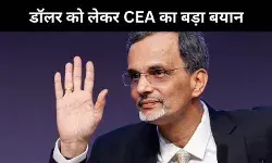 CEA वी अनंथ नागेश्वरन का बड़ा बयान, बोले- भारत नहीं तलाश रहा डॉलर का विकल्प