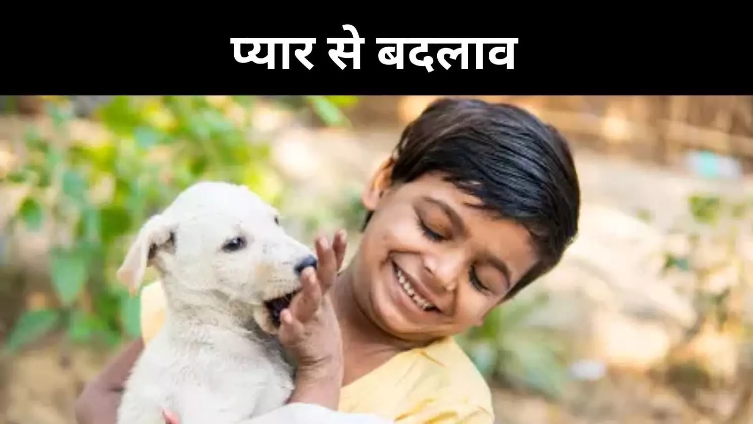 पश्चिम बंगाल मॉडल, दया और भोजन से घटे डॉग बाइट मामले पश्चिम बंगाल मॉडल, दया और भोजन से घटे डॉग बाइट मामले