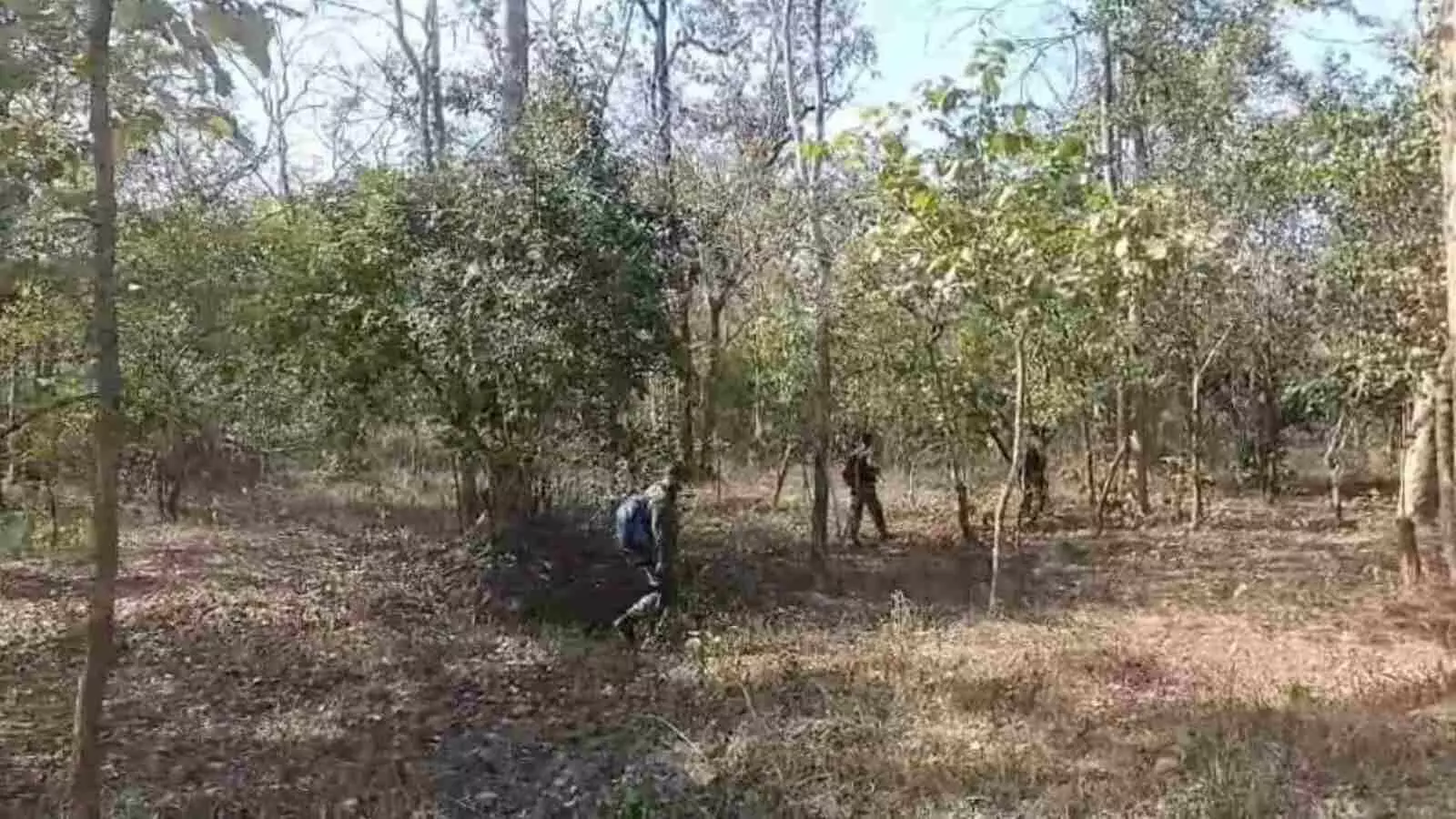 छत्तीसगढ़ में सुरक्षाबलों की बड़ी कार्रवाई, मारे गए टॉप नक्सली